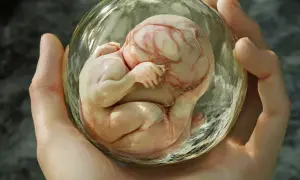 Czy test na menopauzę wykaze ciążę? Odkryj prawdę o testach hormonalnych