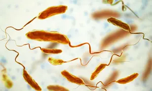 Bakterie Vibrio cholerae, które powodują cholerę, unoszą się w wodzie.