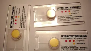 Trzy szybkie testy ureazowe do wykrywania Helicobacter pylori. Jeden test ma żółty krążek, pozostałe dwa mają białe krążki.