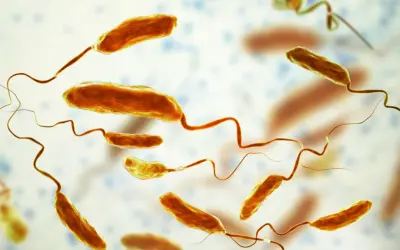 Bakterie Vibrio cholerae, które powodują cholerę, unoszą się w wodzie.