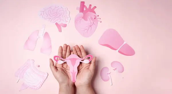 Jak wygląda miesiączka przed menopauzą? Zmiany, które musisz znać