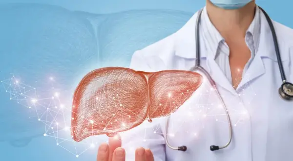 Lekarz hepatolog prezentuje schemat wątroby, symbolizujący diagnostykę i leczenie chorób tego narządu.