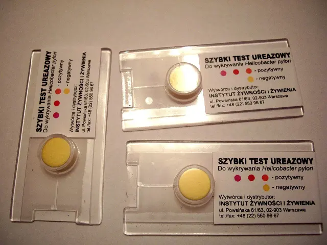 Trzy szybkie testy ureazowe do wykrywania Helicobacter pylori. Jeden test ma żółty krążek, pozostałe dwa mają białe krążki.